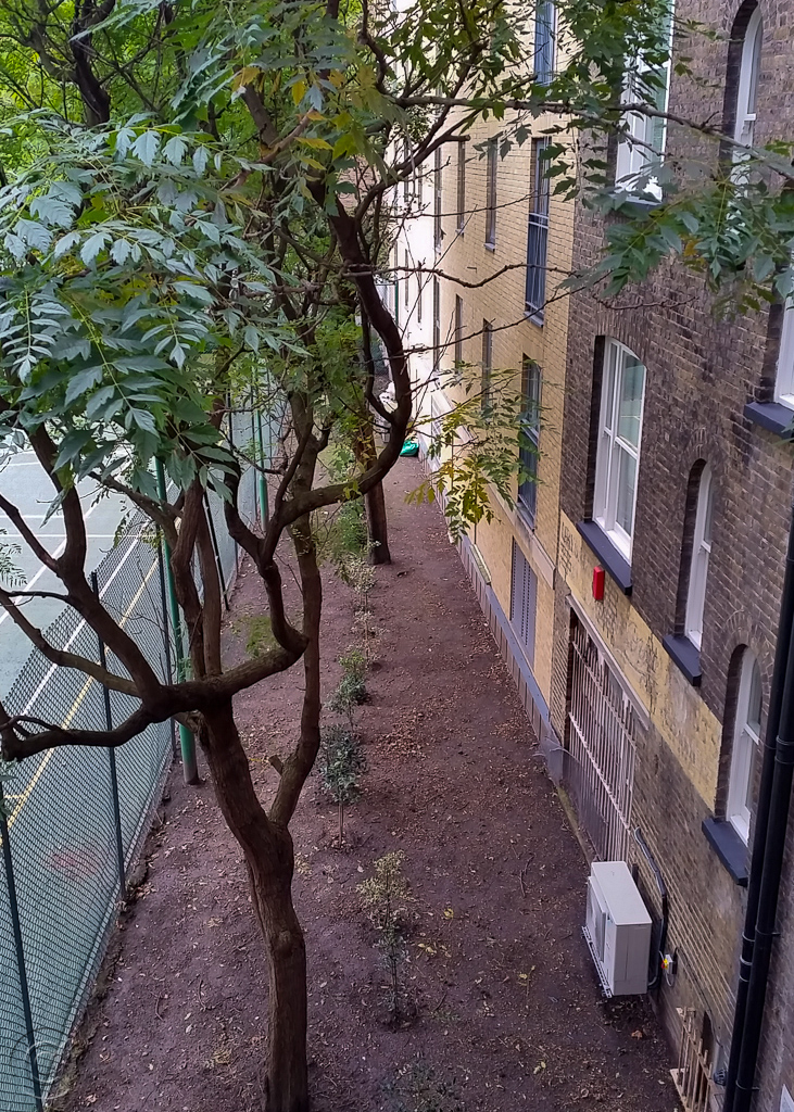 Rear of Nos. 26, 25 and 24-22 Woomwood Street, their back walls resting on the remains of the Roman City Wall.